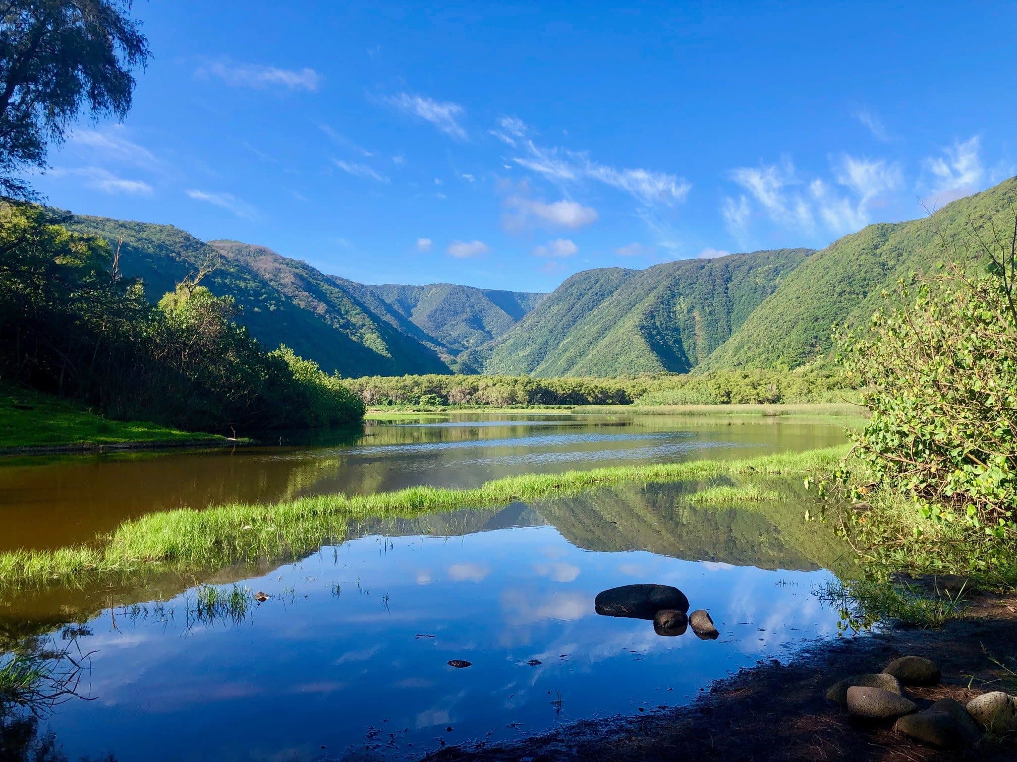 Pololu / Niuli‘i