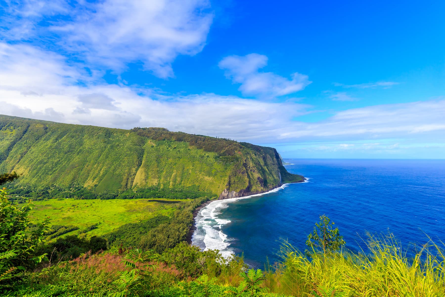 North Kohala