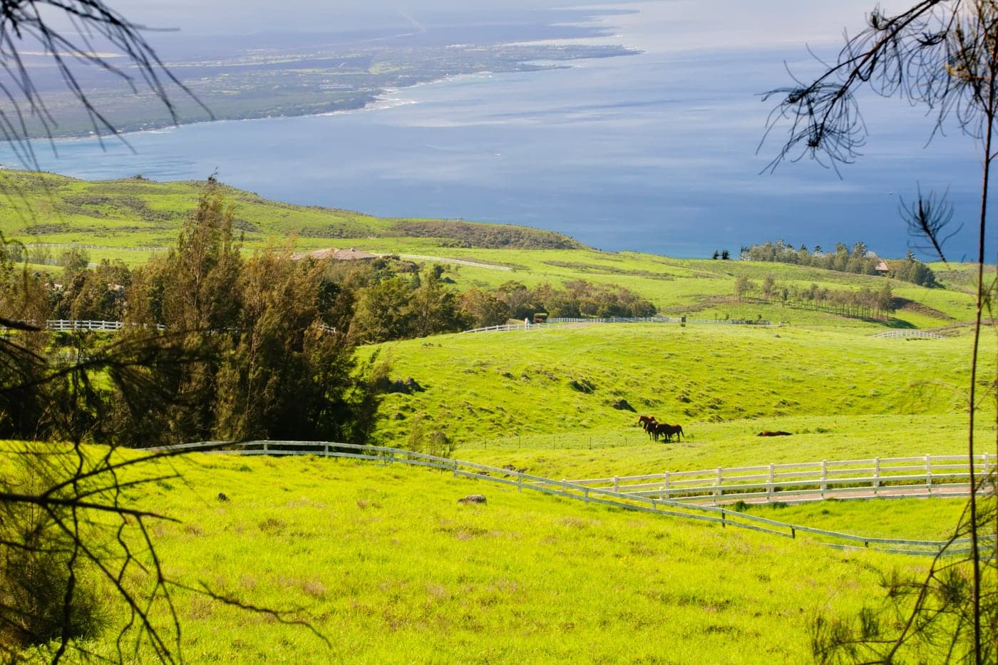 Kohala Ranch
