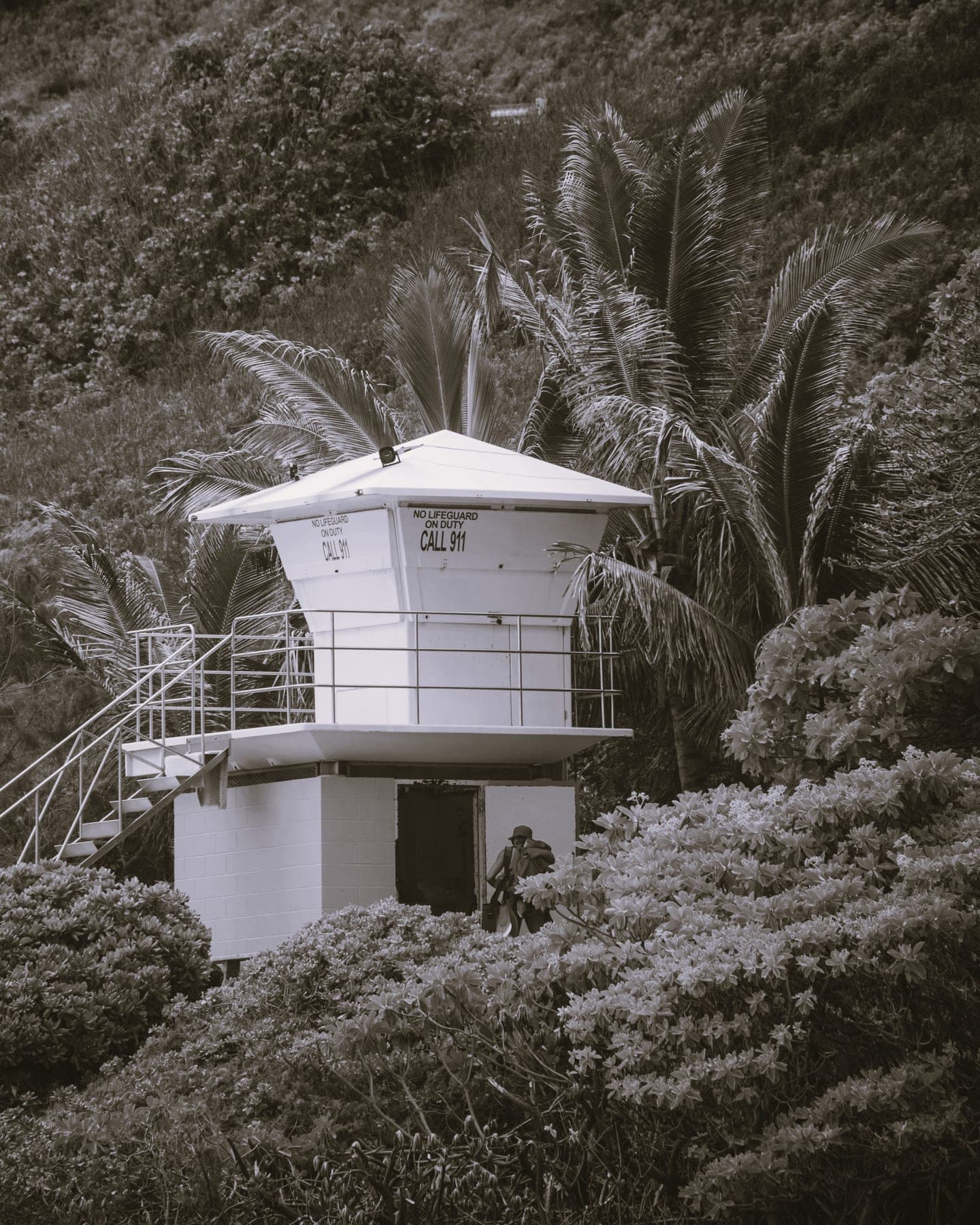Hurricane Season in Hawaii
