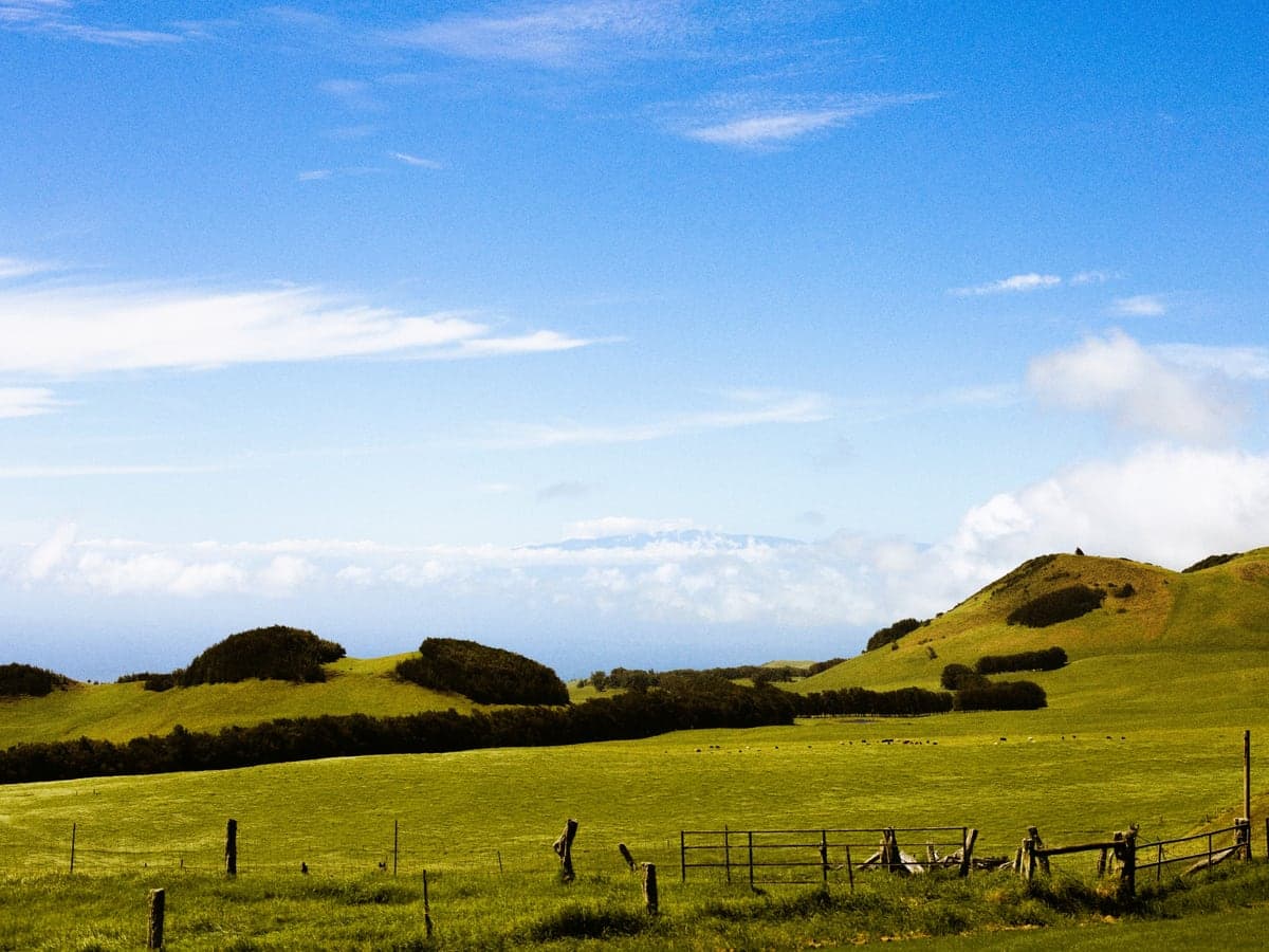 North Kohala